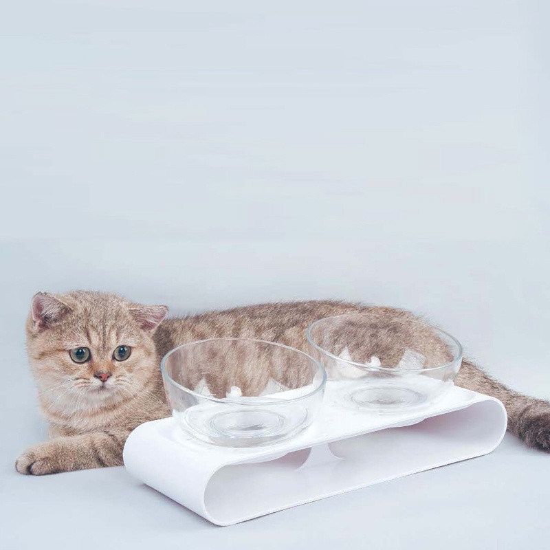O alimentador de cães e os pratos para cães e gatos de pequeno a médio porte
