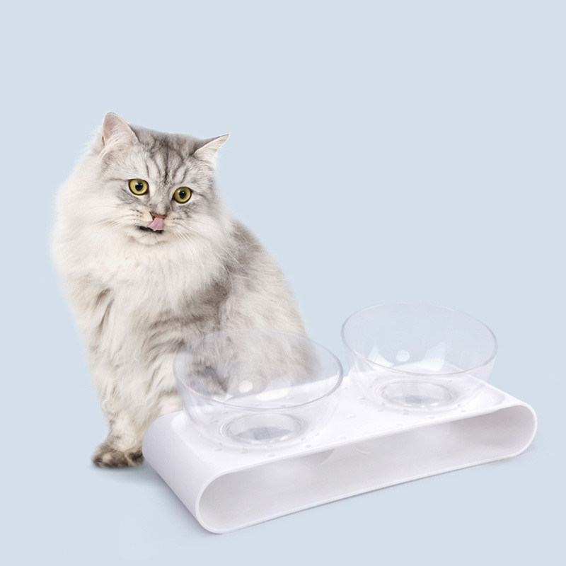 O alimentador de cães e os pratos para cães e gatos de pequeno a médio porte